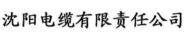 色婷婷AV一区二区三区麻豆电缆厂logo